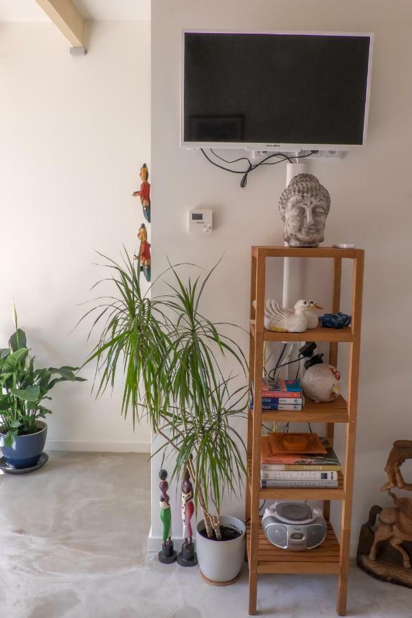 Studio South Beach With Garden And Free Parking Zandvoort Dış mekan fotoğraf